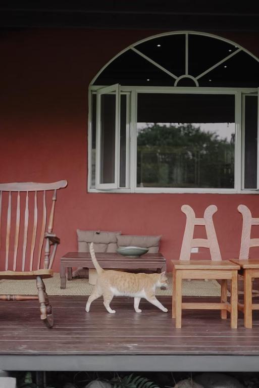 Fotografie z fotogalerie ubytování Dew&Plum 白露梅室 v destinaci Ruisui