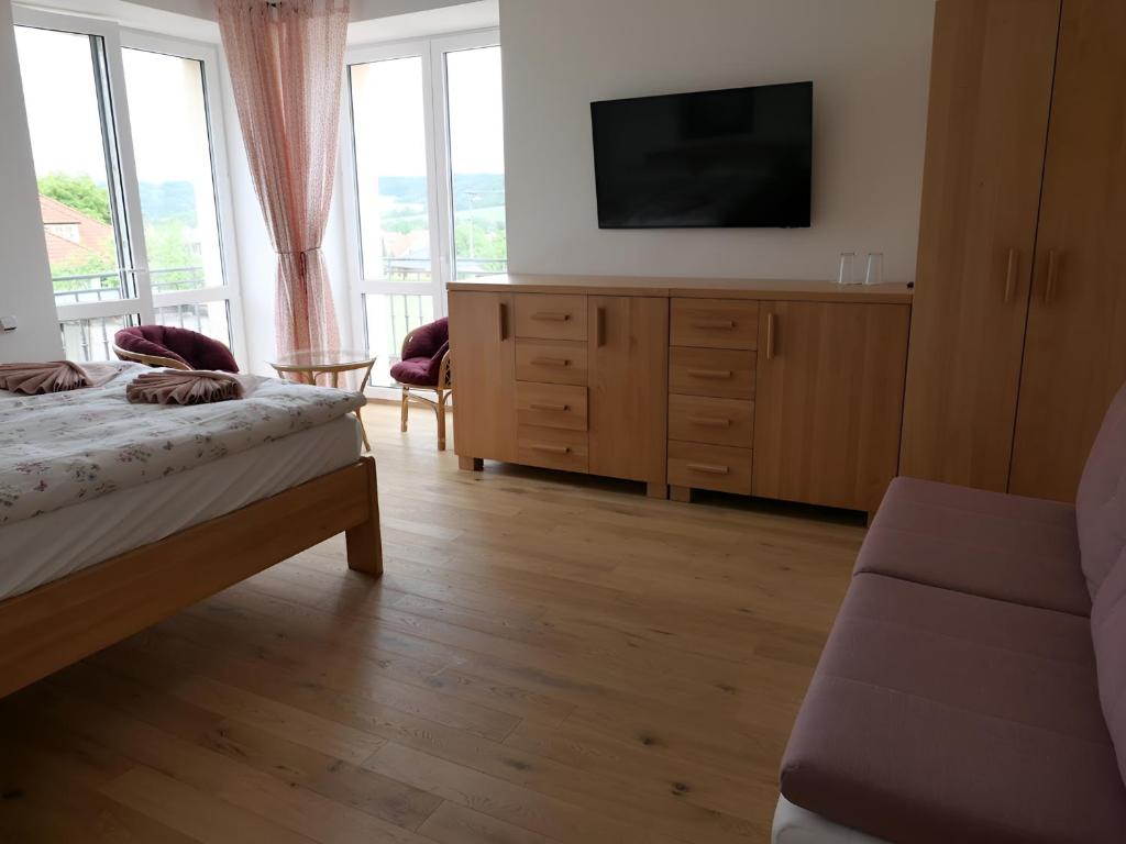 TV a/nebo společenská místnost v ubytování Penzion Renesance