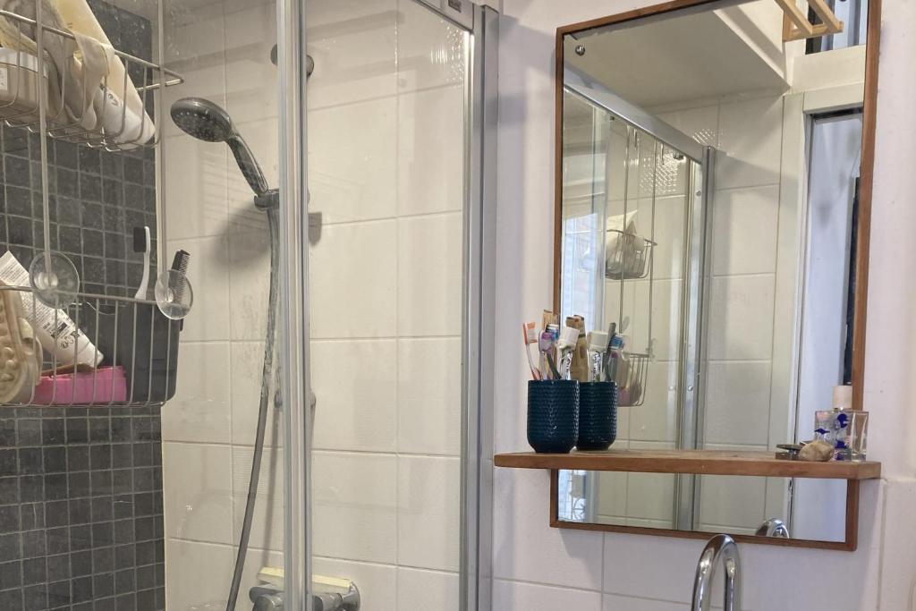 une salle de bain avec douche et miroir dans l'établissement Cosy flat near the Canal and Paris, à Pantin