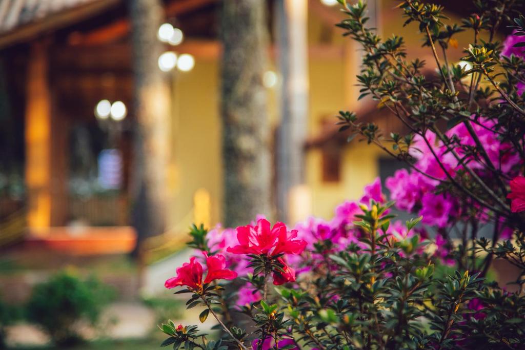  Hotel Guanxi
