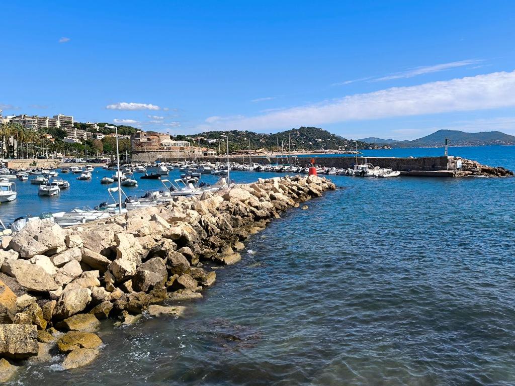 a group of boats docked in a harbor at Les 2 Rives in Toulon