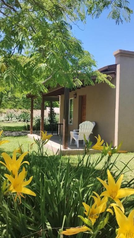 a garden with yellow flowers in front of a house at Suite 1 Las Macluras in Tandil