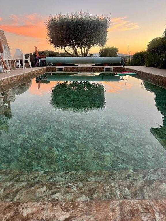 un bassin d'eau avec un arbre au milieu dans l'établissement B&B La Campagne, à Roquevaire