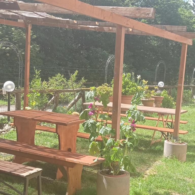 Zahrada ubytování Rifugio Asqua