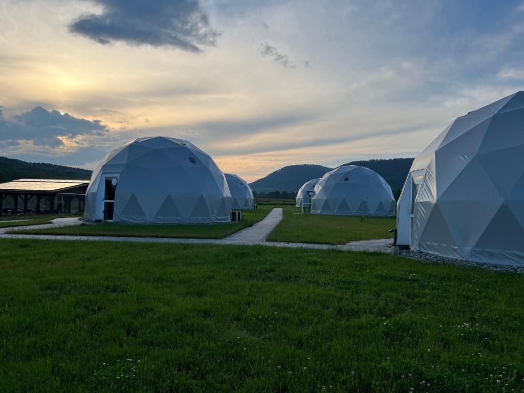 Příroda nedaleko luxury tent