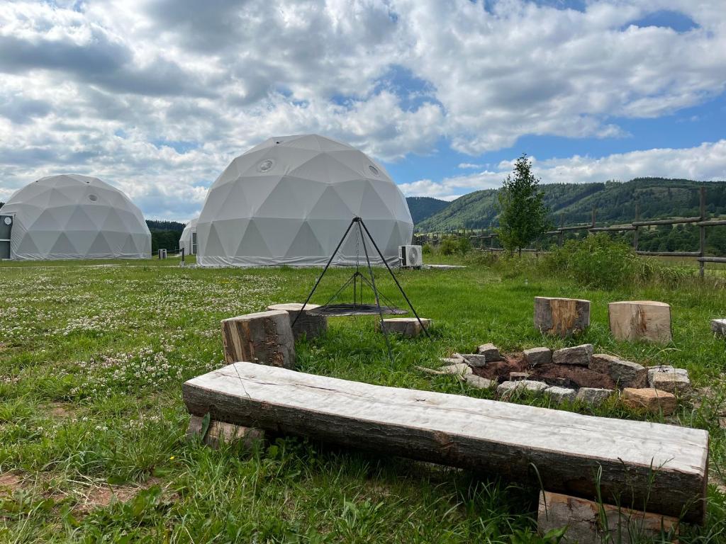 Příroda nedaleko luxury tent