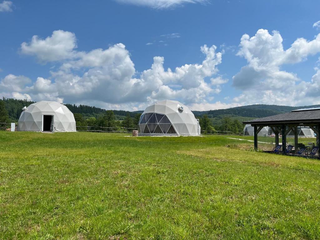 Příroda nedaleko luxury tent