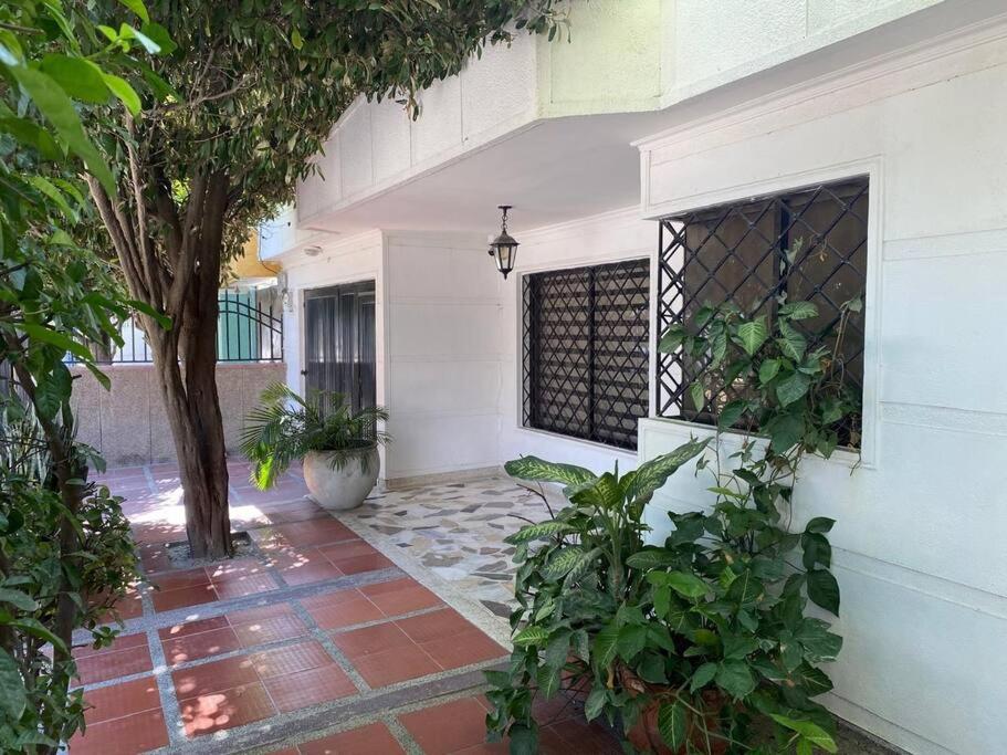 a courtyard of a house with plants and a tree at Casa Acogedora cerca al mar in Gaira