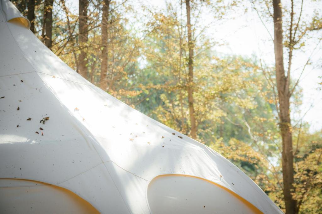 Fotografie z fotogalerie ubytování Glamping Remanso del Espíritu v destinaci Isla de Maipo