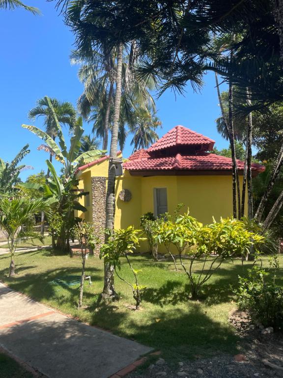Zahrada ubytování Palms Lounge Cabarete