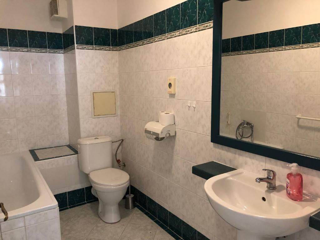 Koupelna v ubytování Apartman Reduta