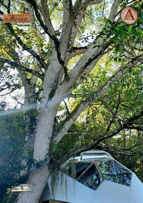 Magno Glamping - Chambre Double Avec Salle De Bain Spa