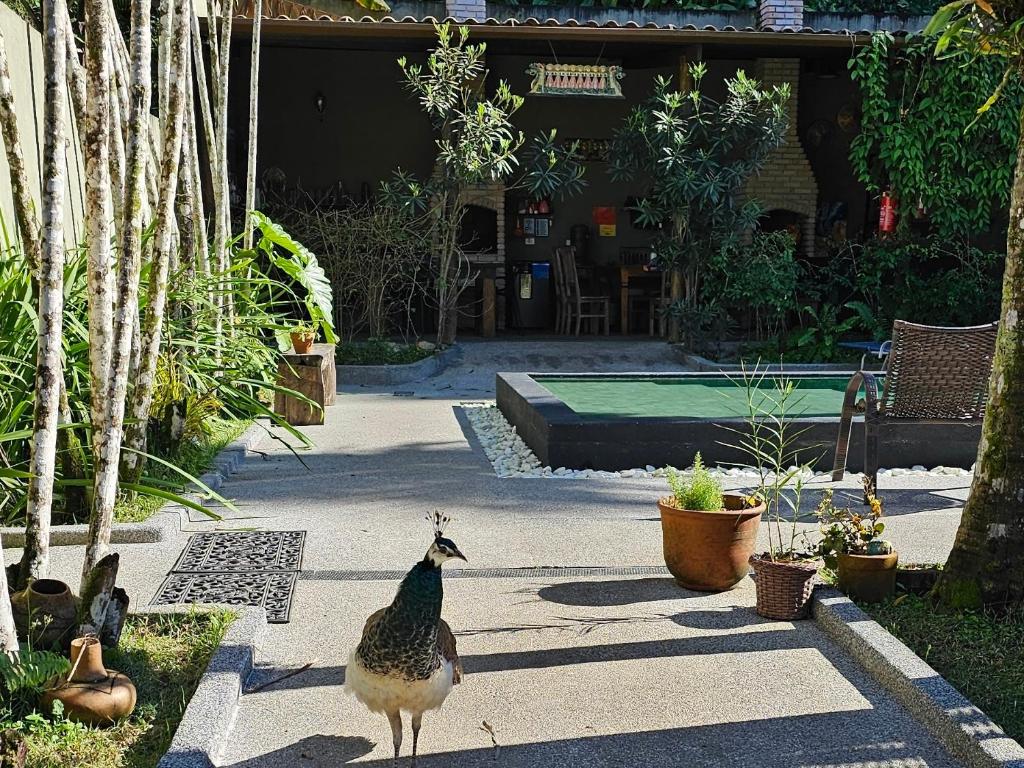 Zahrada ubytování Hostel Jai Juquehy