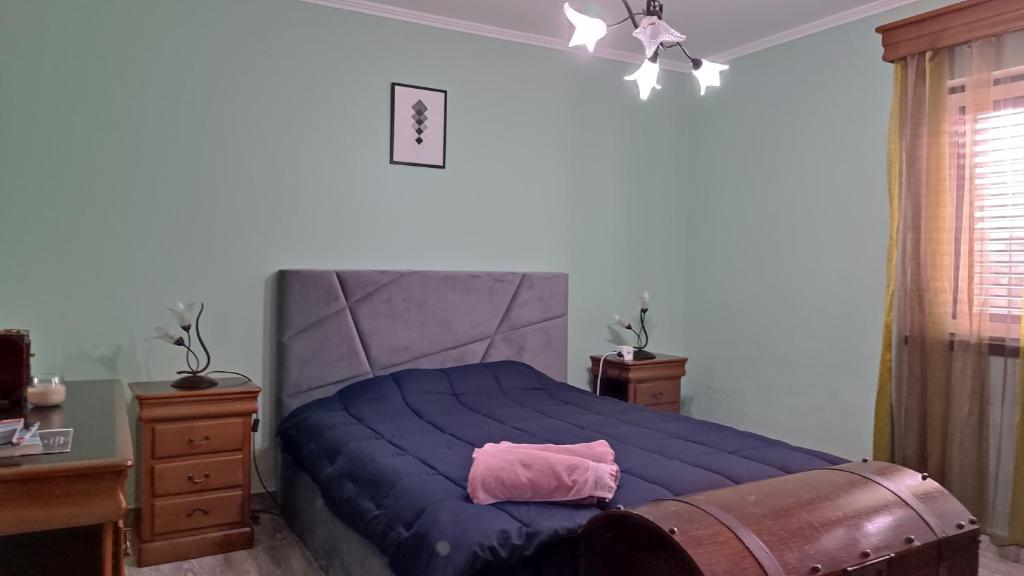 Moradia da Graça Guesthouse - 标准双人房间带共享浴室