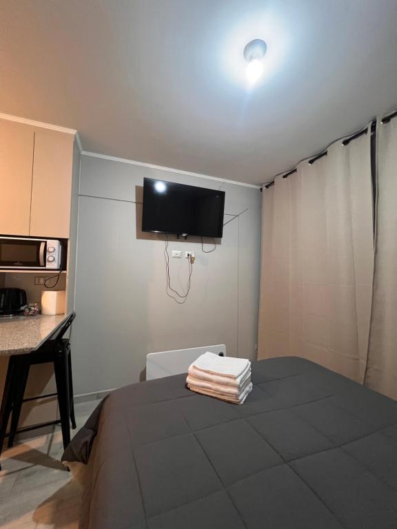 Departamento central, Pitrufquén