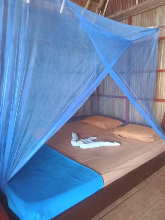 un lit dans une tente avec une moustiquaire bleue dans l'établissement Wobbegong Homestay, à Yennanas Besir