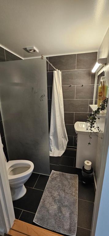 Koupelna v ubytování Olsson B&B