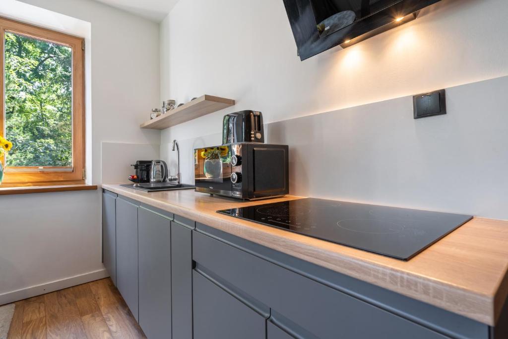 WILLA JAROSTA & SPA, AC -free parking - 7