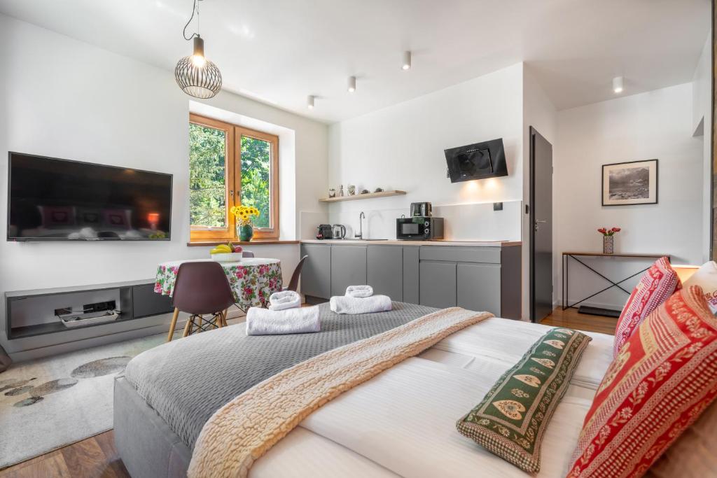 WILLA JAROSTA & SPA, AC -free parking - 9