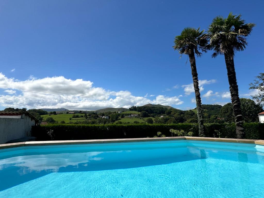 a large swimming pool with palm trees in the background at Maison Pays Basque 12 pers piscine in Saint-Esteben