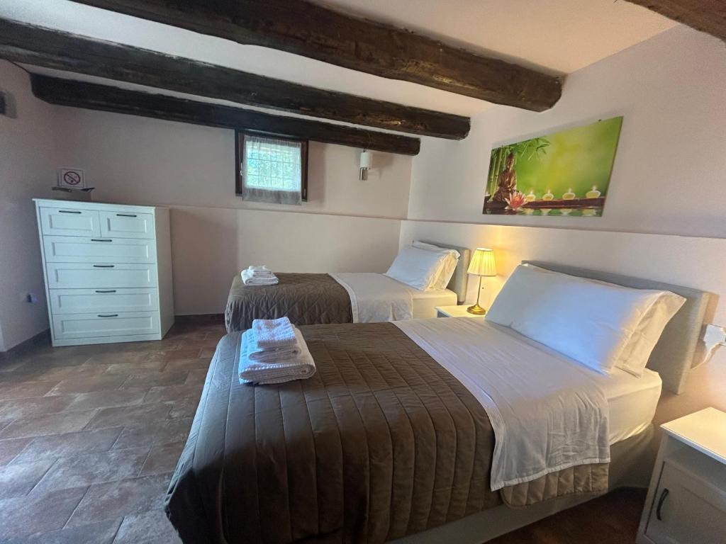 Monte Cuccolo House B&B - 豪华双床间