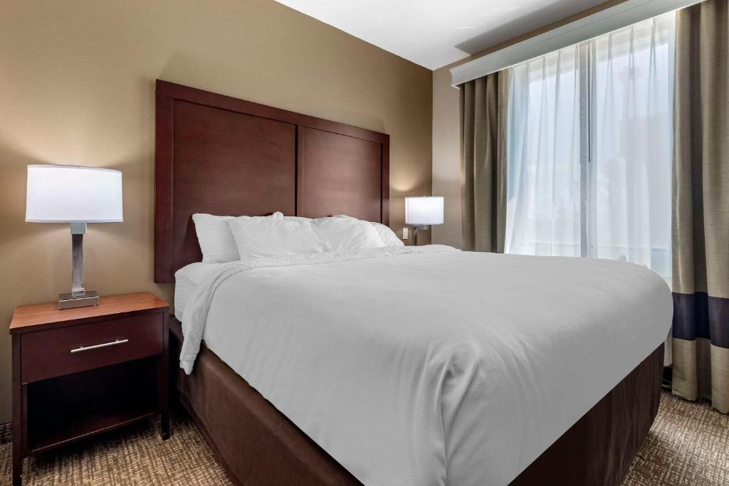 a bedroom with a large bed and a window at Comfort Suites Plano - Dallas North in Plano