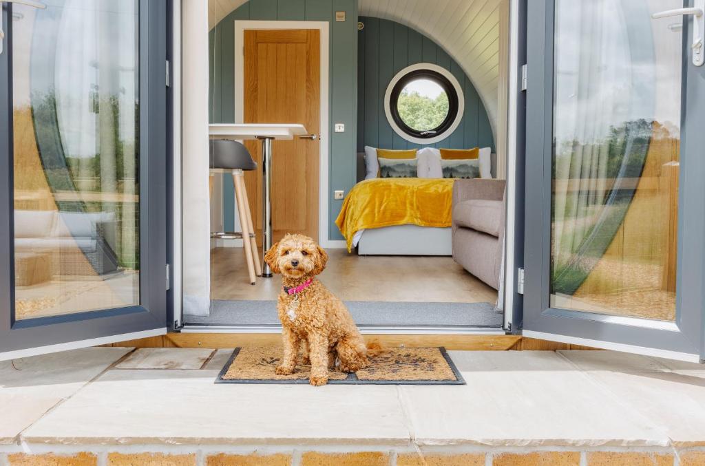 Domácí mazlíčci ubytovaní s hosty v ubytování Luxury Glamping Pods with private Hot Tubs - Dog Friendly