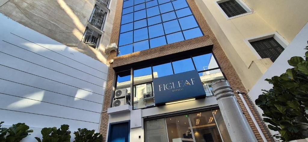 Figleaf Kypseli - Resim 43