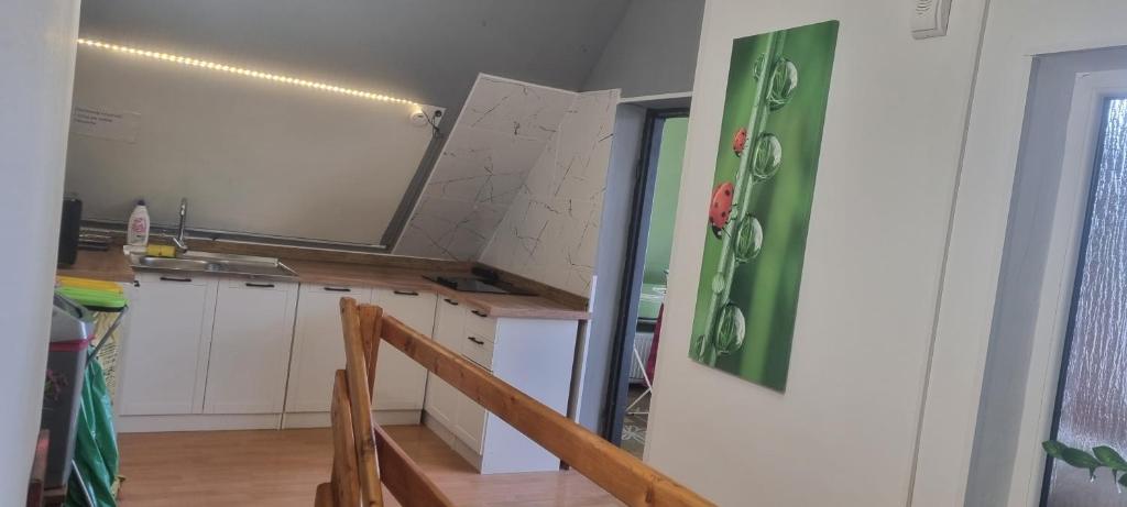 Kuchyň nebo kuchyňský kout v ubytování Pokoje Gościnne Karina