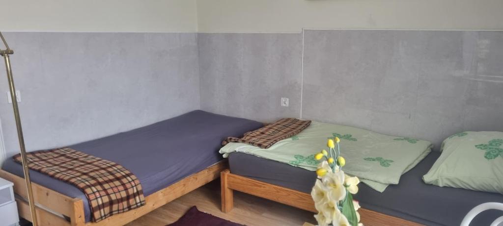 Postel nebo postele na pokoji v ubytování Pokoje Gościnne Karina
