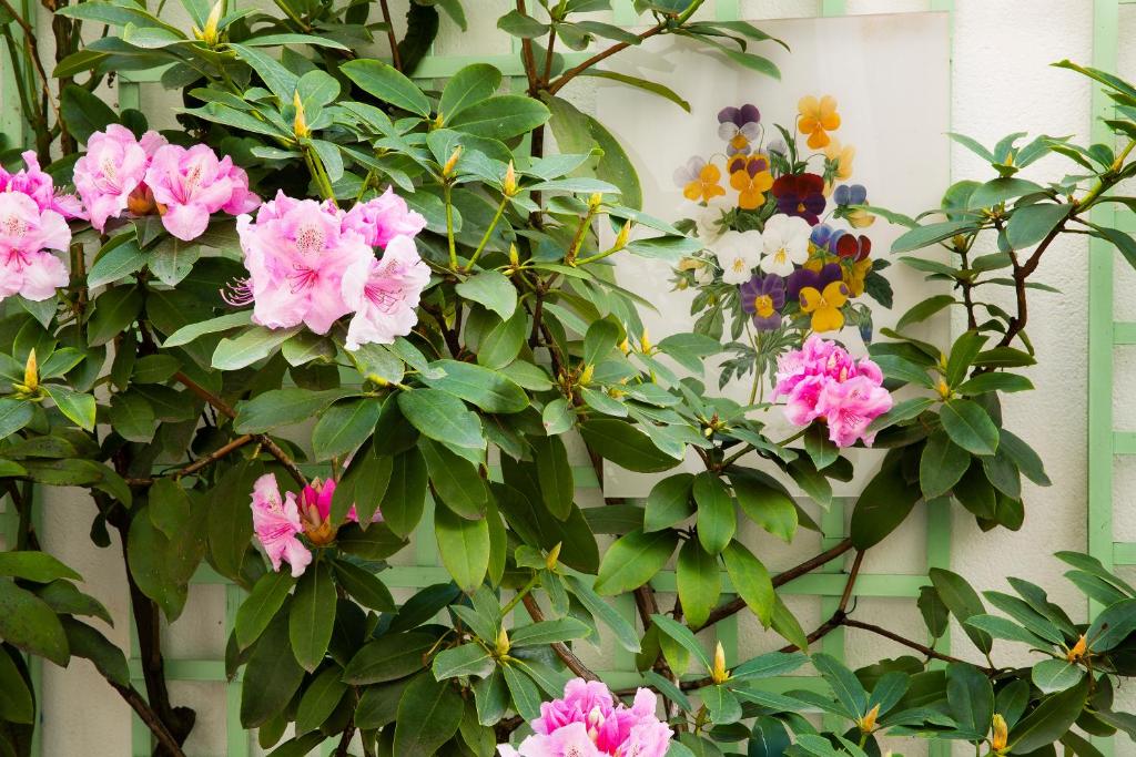 Hôtel Mistral - Resim 24