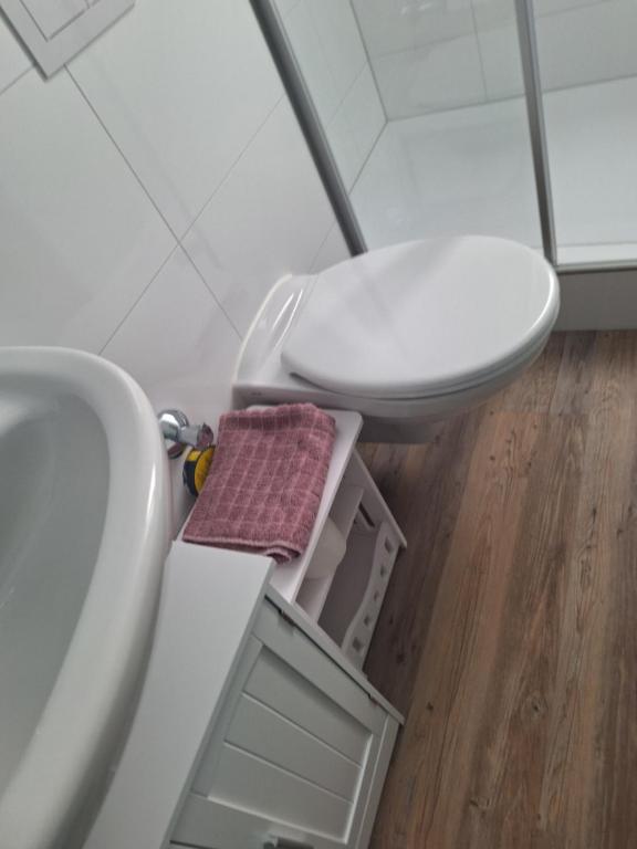 Koupelna v ubytování Brigg