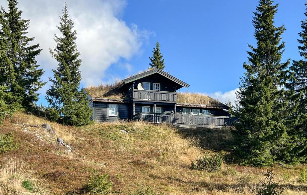 una casa con techo de césped en la cima de una colina en Stunning Home In Sjusjøen With Sauna, en Sjusjøen