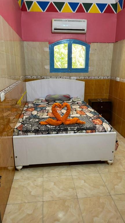 Seko Kato Nile View Hostel - 1