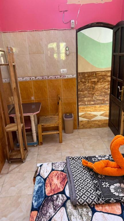 Seko Kato Nile View Hostel - 3