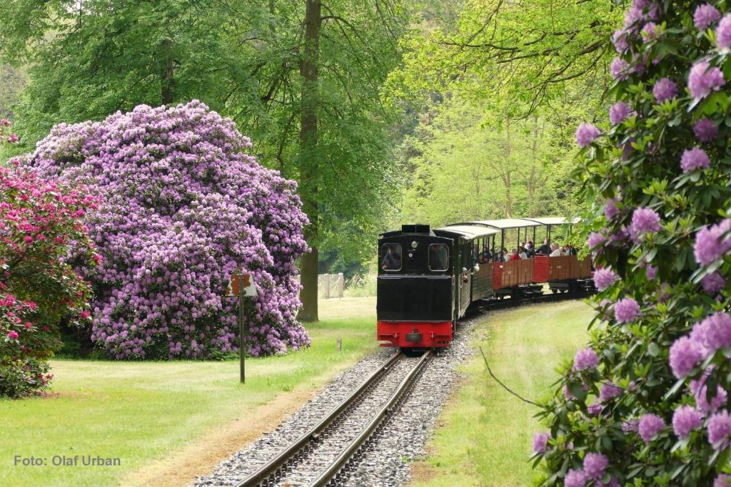 Zahrada ubytování Bauwagen Gnubbel am Jahnteich