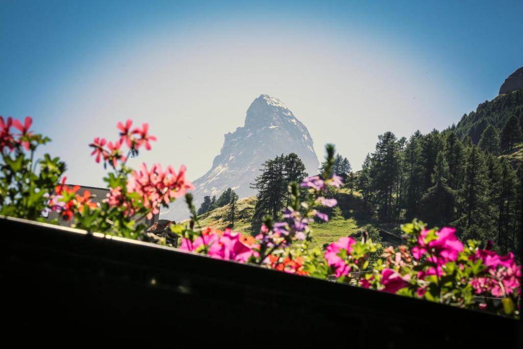 Villa Taugwalder I Monte Rosa