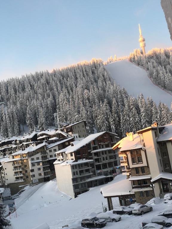 Luxury Aparthotel STUDENETS - Double Room