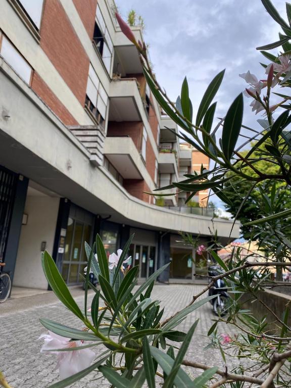 APPARTAMENTO LA SPIAGGETTA - 4