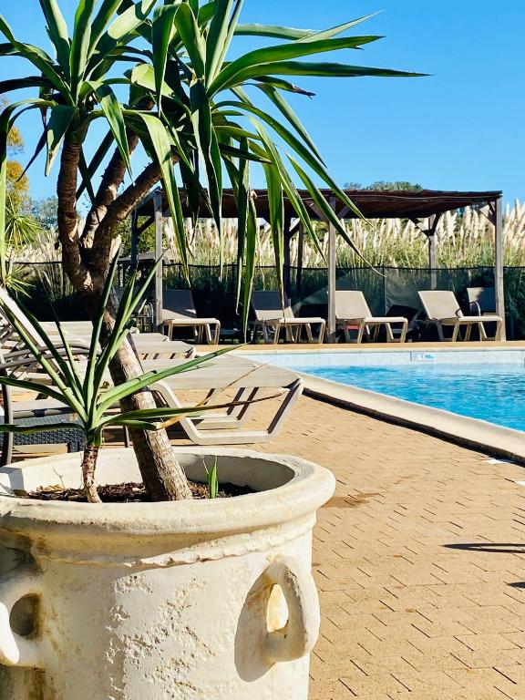 Bazén v ubytování Hôtel le Mas des Ponts d'Arles nebo v jeho okolí