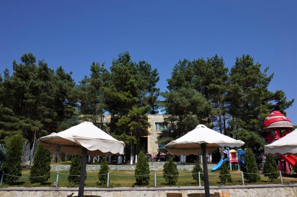 Fotografie z fotogalerie ubytování Чичхани, Chichkhani, Չիչխանի v destinaci Tsamakaberd