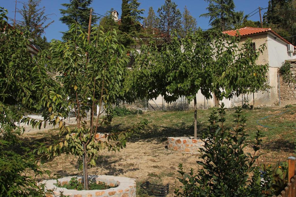 Zahrada ubytování Vagelis Nemea apartments