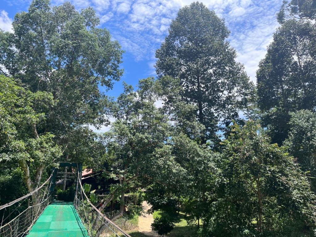 Khlong sok camp - King Room With Garden View