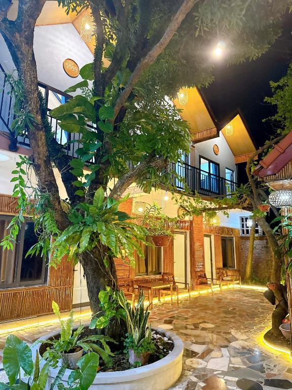 Photo from Tam Coc Charming Bungalow in , Ninh Binh, Vietnam