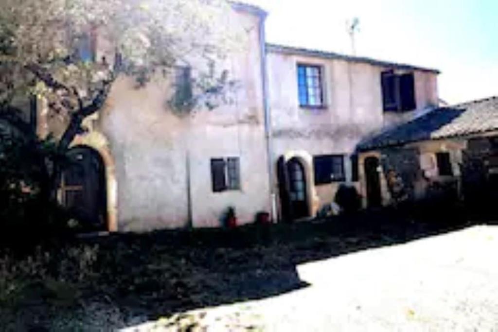 une maison blanche avec un arbre devant dans l'établissement Hope House, à Chavagnes-les-Redoux