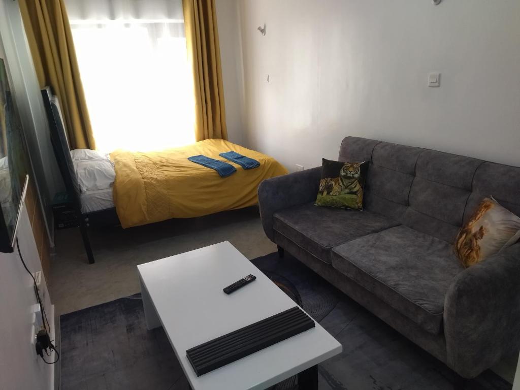 Posezení v ubytování Tsavo Studio Fedha