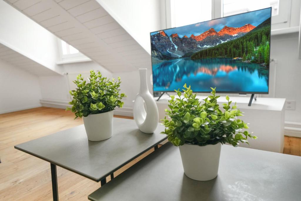 book2stay moderne Wohnung OLMA-Areal - Resim 10