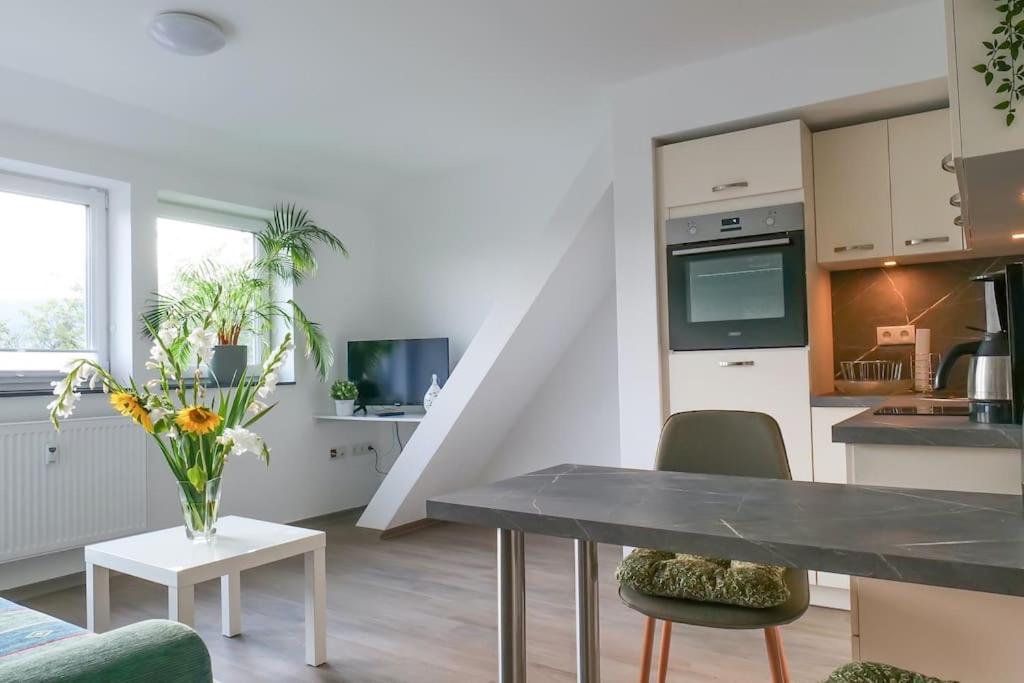 Kuchyň nebo kuchyňský kout v ubytování Wunderschöne Ferienwohnung mit Balkon in Aue
