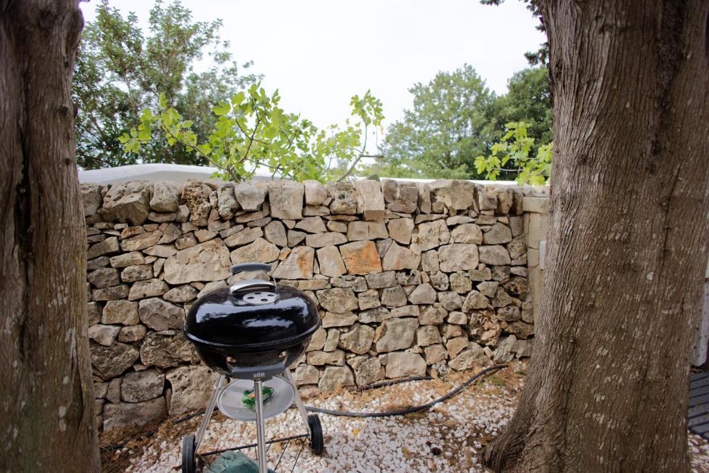 Zdjęcie z galerii obiektu Ad un passo da Cisternino - Trulli con Foresta, Bici e Barbecue w mieście Cisternino