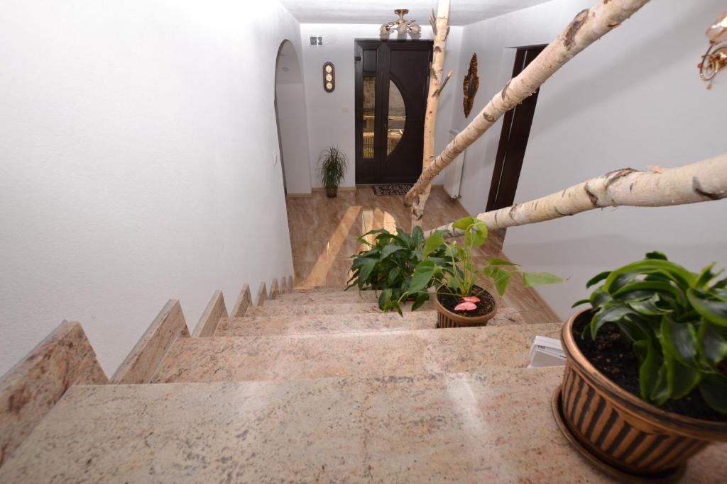 Foto dalla galleria di Casa Aureliana a Ciocăneşti